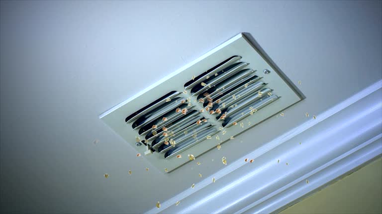 Best Best Air Duct Cleaning Near Me  in Lakes Of The Four Seasons, IN