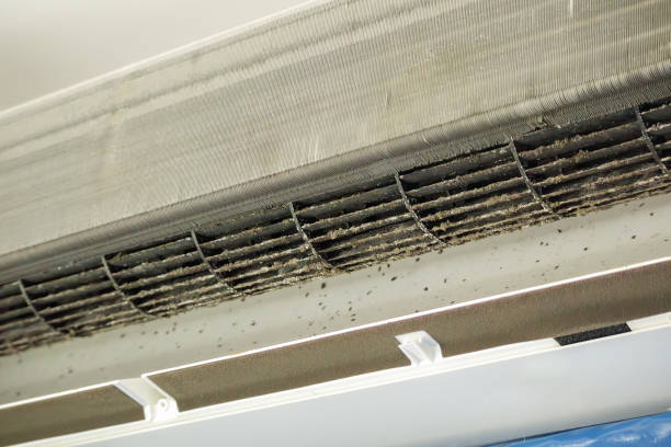 Best Duct Cleaning for Offices  in Lakes Of The Four Seasons, IN